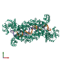 Hetero tetrameric assembly 1 of PDB entry 8dfb coloured by chemically distinct molecules, front view.