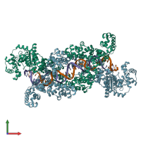 PDB entry 8dfb coloured by chain, front view.