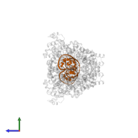 DNA (40-MER) in PDB entry 8dfb, assembly 1, side view.