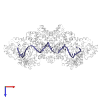 DNA (40-MER) in PDB entry 8dfb, assembly 1, top view.