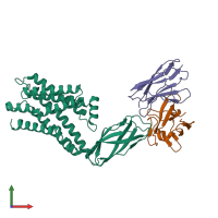 PDB entry 8dki coloured by chain, front view.