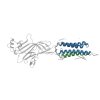 The deposited structure of PDB entry 8dn3 contains 2 copies of Pfam domain PF02932 (Neurotransmitter-gated ion-channel transmembrane region) in Glycine receptor beta. Showing 2 copies in chain E.