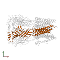 Glycine receptor beta in PDB entry 8dn3, assembly 1, front view.