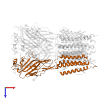 Glycine receptor beta in PDB entry 8dn3, assembly 1, top view.