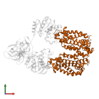 Transport permease protein in PDB entry 8dn8, assembly 1, front view.