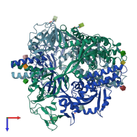 PDB entry 8dnr coloured by chain, top view.