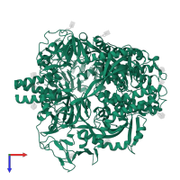 Fusion glycoprotein F1 in PDB entry 8dnr, assembly 1, top view.