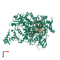 PDB entry 8dp0 coloured by chain, top view.