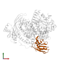 Nanobody NB7 in PDB entry 8dp0, assembly 1, front view.