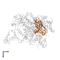 Nanobody NB7 in PDB entry 8dp0, assembly 1, top view.