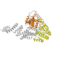 The deposited structure of PDB entry 8dti contains 4 copies of Pfam domain PF13844 (Glycosyl transferase family 41) in Probable UDP-N-acetylglucosamine--peptide N-acetylglucosaminyltransferase SPINDLY. Showing 2 copies in chain A.