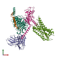 PDB entry 8dzq coloured by chain, front view.