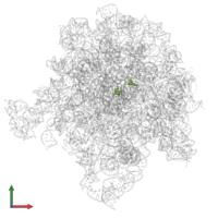 Modified residue 5MU in PDB entry 8e30, assembly 1, front view.