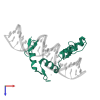 Zinc finger and BTB domain-containing protein 7A in PDB entry 8e3e, assembly 2, top view.