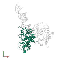 DNA dC->dU-editing enzyme APOBEC-3G in PDB entry 8e40, assembly 1, front view.