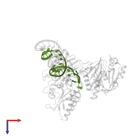 RNA in PDB entry 8e40, assembly 1, top view.