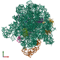 PDB entry 8e46 coloured by chain, front view.