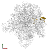 Large ribosomal subunit protein uL3 in PDB entry 8e46, assembly 1, front view.