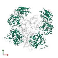 Glutamate receptor ionotropic, NMDA 1 in PDB entry 8e98, assembly 1, front view.