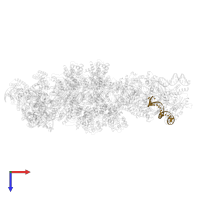 LE_R in PDB entry 8ea4, assembly 1, top view.