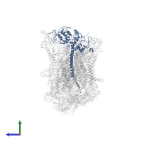 Cytochrome c1, heme protein, mitochondrial in PDB entry 8ec0, assembly 1, side view.