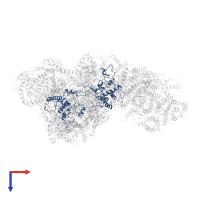 Cytochrome c1, heme protein, mitochondrial in PDB entry 8ec0, assembly 1, top view.