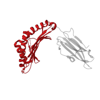 The deposited structure of PDB entry 8ec5 contains 1 copy of Pfam domain PF00129 (Class I Histocompatibility antigen, domains alpha 1 and 2) in Ig-like domain-containing protein. Showing 1 copy in chain A.