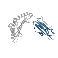 The deposited structure of PDB entry 8ec5 contains 1 copy of Pfam domain PF07654 (Immunoglobulin C1-set domain) in Ig-like domain-containing protein. Showing 1 copy in chain A.