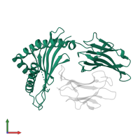 Ig-like domain-containing protein in PDB entry 8ec5, assembly 1, front view.