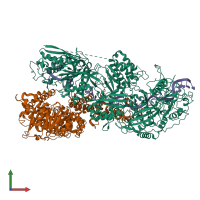 PDB entry 8eex coloured by chain, front view.