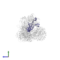 crRNA in PDB entry 8eex, assembly 1, side view.