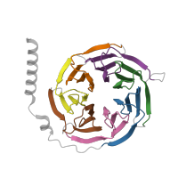 The deposited structure of PDB entry 8ef5 contains 7 copies of Pfam domain PF00400 (WD domain, G-beta repeat) in Guanine nucleotide-binding protein G(I)/G(S)/G(T) subunit beta-1. Showing 7 copies in chain C [auth B].