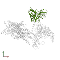 scFv16 in PDB entry 8ef5, assembly 1, front view.