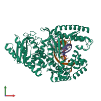 PDB entry 8ef9 coloured by chain, front view.