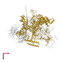 DNA-directed RNA polymerase subunit beta' in PDB entry 8eg7, assembly 1, top view.