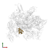 DNA-directed RNA polymerase subunit omega in PDB entry 8eg7, assembly 1, front view.