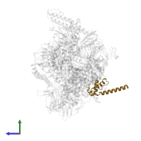 DNA-directed RNA polymerase subunit omega in PDB entry 8eg7, assembly 1, side view.