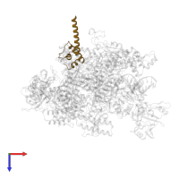 DNA-directed RNA polymerase subunit omega in PDB entry 8eg7, assembly 1, top view.