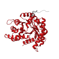 The deposited structure of PDB entry 8ehg contains 4 copies of Pfam domain PF00274 (Fructose-bisphosphate aldolase class-I) in Fructose-bisphosphate aldolase A. Showing 1 copy in chain A.