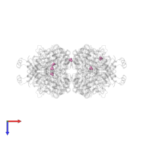 BICARBONATE ION in PDB entry 8ej0, assembly 1, top view.