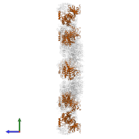 Serine/threonine-protein kinase Nek7 in PDB entry 8ej4, assembly 1, side view.