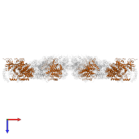 Serine/threonine-protein kinase Nek7 in PDB entry 8ej4, assembly 1, top view.