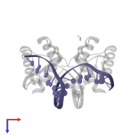 DNA (5'-D(*TP*GP*TP*TP*GP*AP*TP*TP*AP*GP*AP*TP*TP*AP*CP*GP*C)-3') in PDB entry 8ejo, assembly 1, top view.