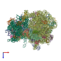 PDB entry 8ekc coloured by chain, top view.