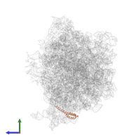 Small ribosomal subunit protein bS20 in PDB entry 8ekc, assembly 1, side view.