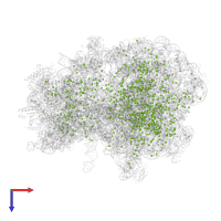 MAGNESIUM ION in PDB entry 8ekc, assembly 1, top view.