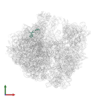 Large ribosomal subunit protein bL35 in PDB entry 8emm, assembly 1, front view.