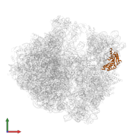 Small ribosomal subunit protein uS3 in PDB entry 8emm, assembly 1, front view.