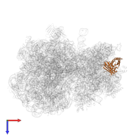 Small ribosomal subunit protein uS3 in PDB entry 8emm, assembly 1, top view.