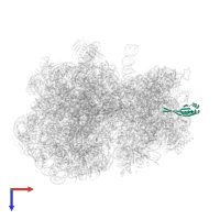 Small ribosomal subunit protein uS10 in PDB entry 8emm, assembly 1, top view.